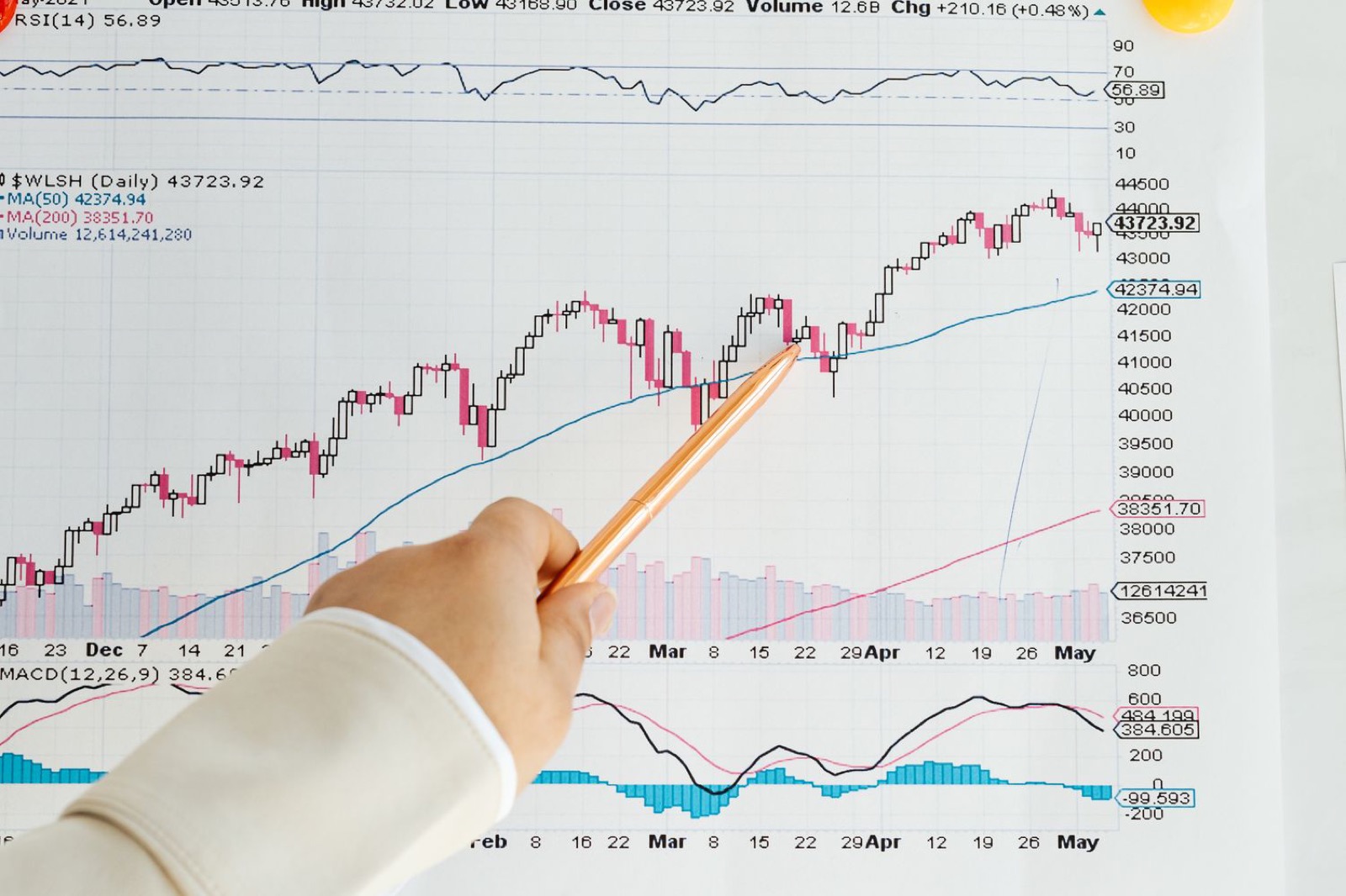 Copy-trading and market screening tools